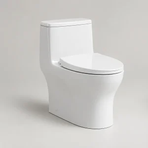 Bồn cầu 1 khối TOTO MS885DT8